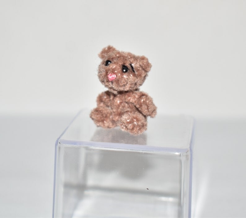 Picture 5 of 5