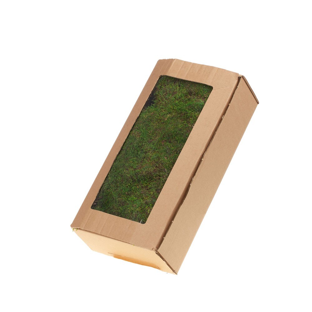 500g Box of Preserved Dried Flat Moss