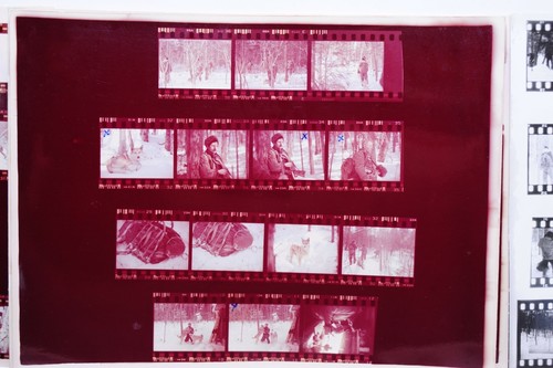 Siberian Tiger Hunt Photographer Vintage Contact Sheets, Estate Sale Find - Picture 7 of 9