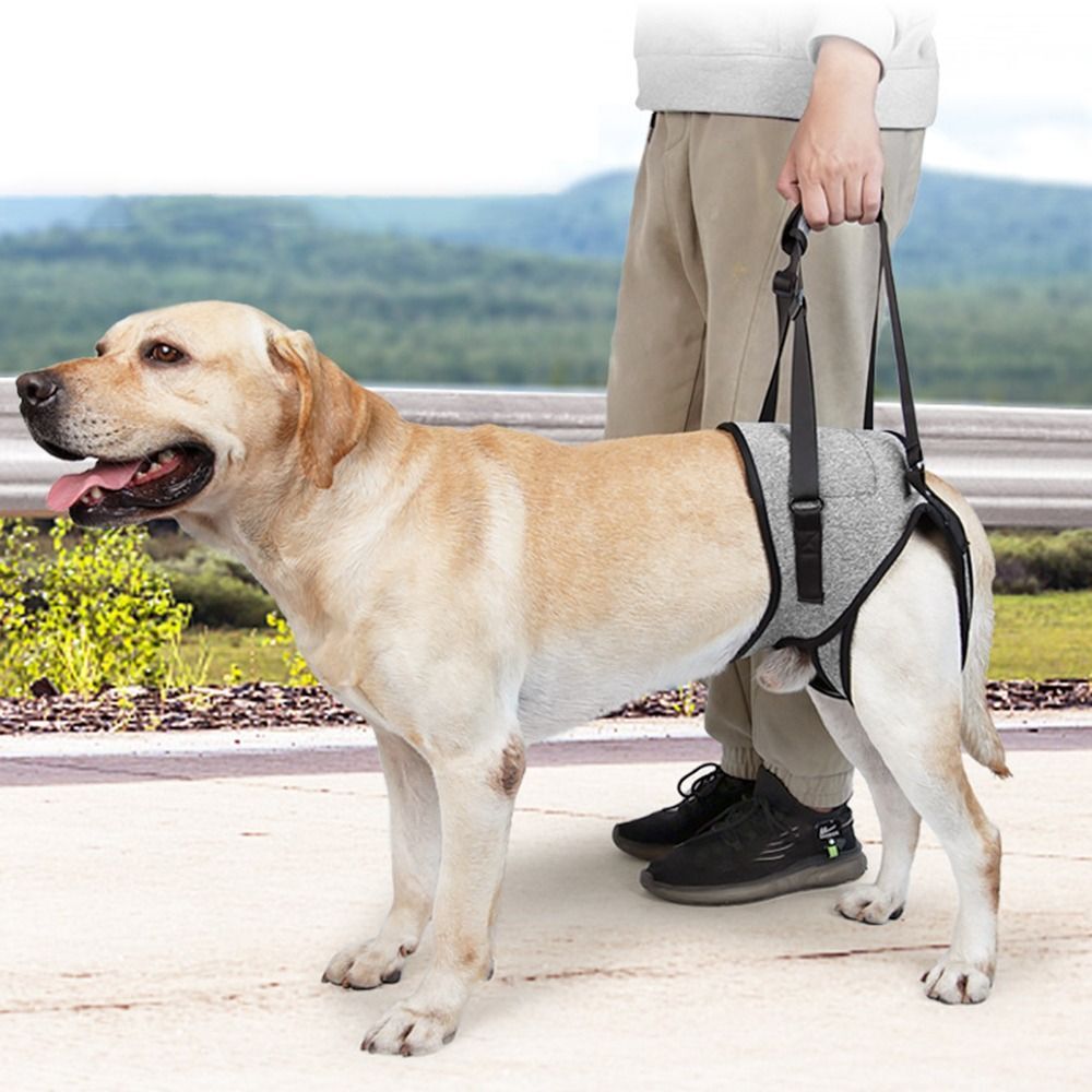 Dog Support Sling Dog Lifting Harness Dog Support Harness Pet Auxiliary