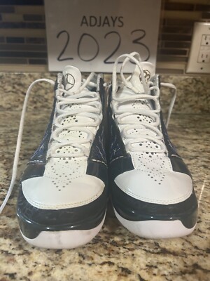 wizard jordan shoes