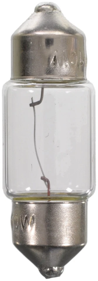 Bombilla de cortesía Wagner Lighting bombilla domo mapa bombilla lectura Foto 2 de 4