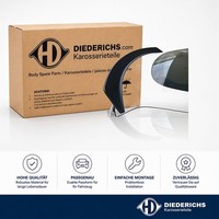 Spoiler Hinten Diederichs 7930367 FÜR Tesla Heckspoiler