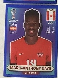 Panini FIFA World Cup QATAR 2022 - US Edition - BLUE & RED STICKERS - part 3 - Picture 11 of 194