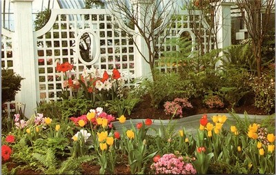 Krohn Conservatory Cincinnati Ohio Vintage Postcard Pre Spring Display
