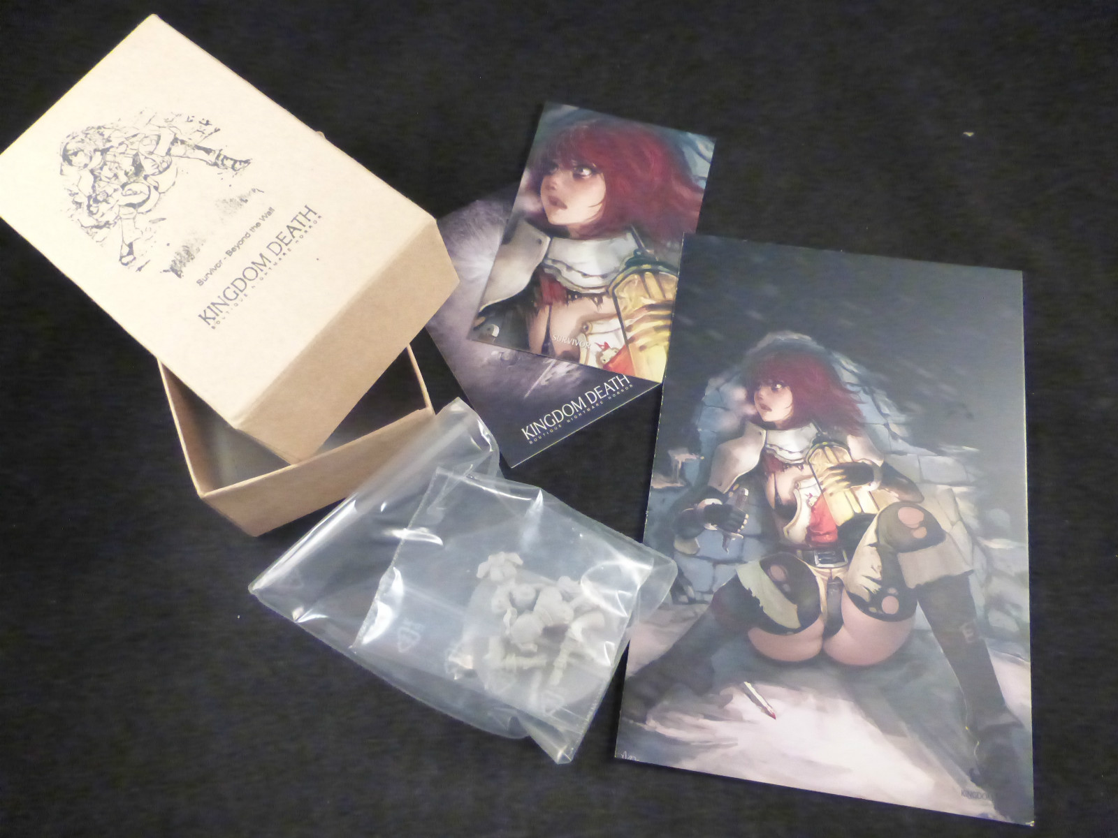 REGNO MORTE Sopravvissuto mujer oltre il muro Resina kit-Boxed + cartolina artistica REGNO MORTE Sopravvissuto mujer oltre il muro Resina kit-Boxed + cartolina artistica