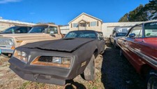 1977 Pontiac Trans Am for Sale