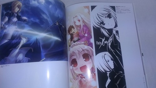 Doujinshi TYPE-MOON OFFICIAL "CONCEPT" Fate/stay night Full Color Art Book 133P - Bild 8 von 11