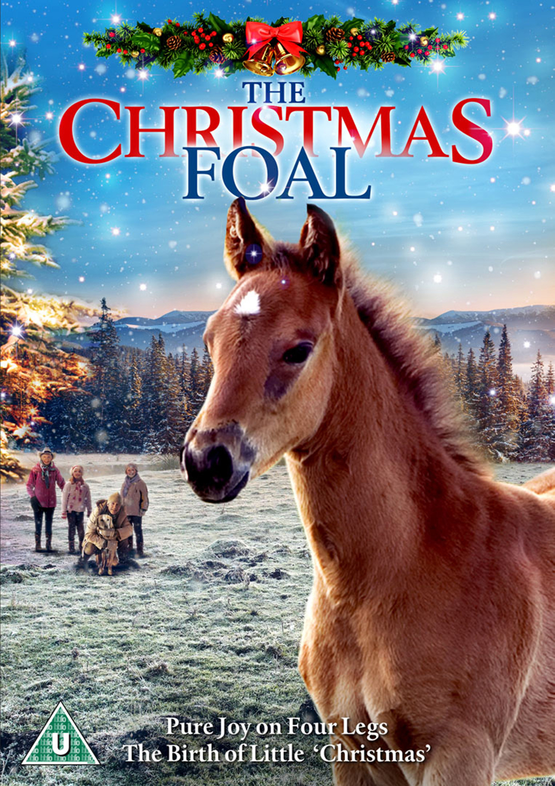 The Christmas Foal (DVD) Austin Filson Carlee Horton