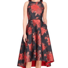 Tahari Arthur Levine Special Occasion Dress