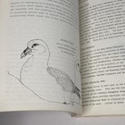 Foto 6 di 10