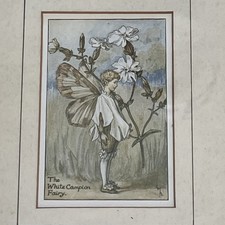 Cicely M Barker 1923 The White Campion Fairy print framed 