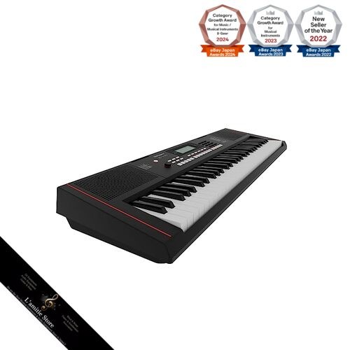 Roland E-X10 Electronic Arranger Keyboard einfache Bedienung 61 Tasten Auto - Bild 4 von 10