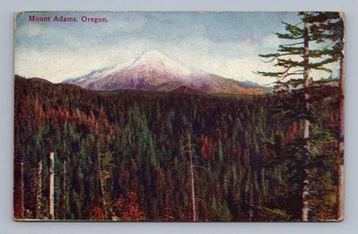 Antique Washington Postcard MOUNT ADAMS Cascade Mountains Oregon 1919