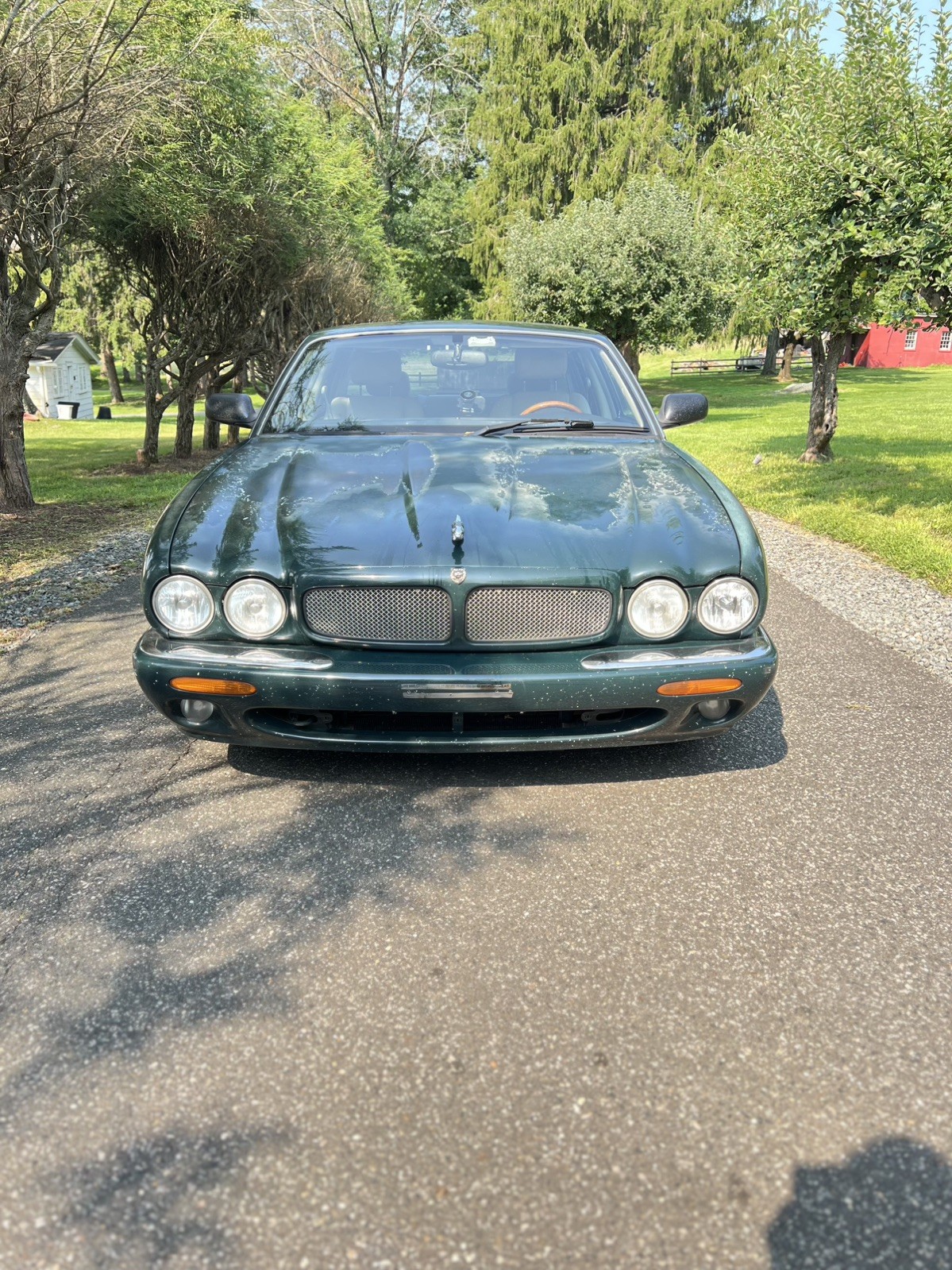 1998 Jaguar XJR for sale in Chester New Jersey
