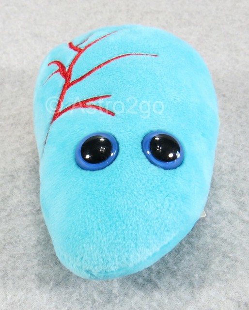 GIANT MICROBESLUNGStuffed Plush Respiratory Breathe Breath Air Biology Anatomy eBay