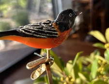 Merck Family’s Old World Christmas Baltimore Oriole 1.5x8”x1.25” #18059. Clip