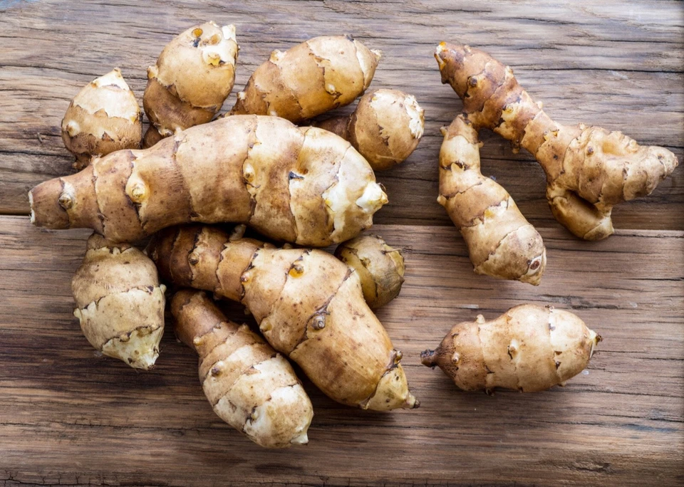 25 Jerusalem Artichoke Sunchoke Tubers For Planting or Eating by Greenhouse PCA - Image 2 of 4