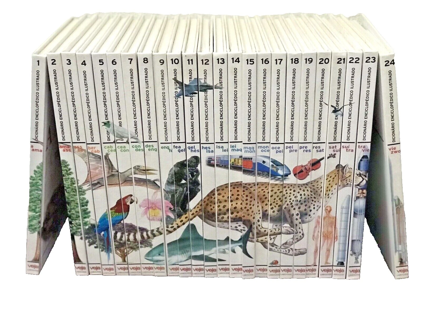 Illustrated Reference Antiquarian & Collectible Books in Portuguese