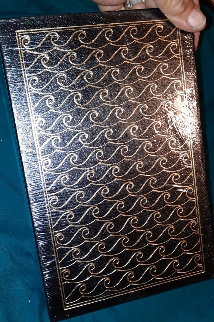 Picture 4 of 7