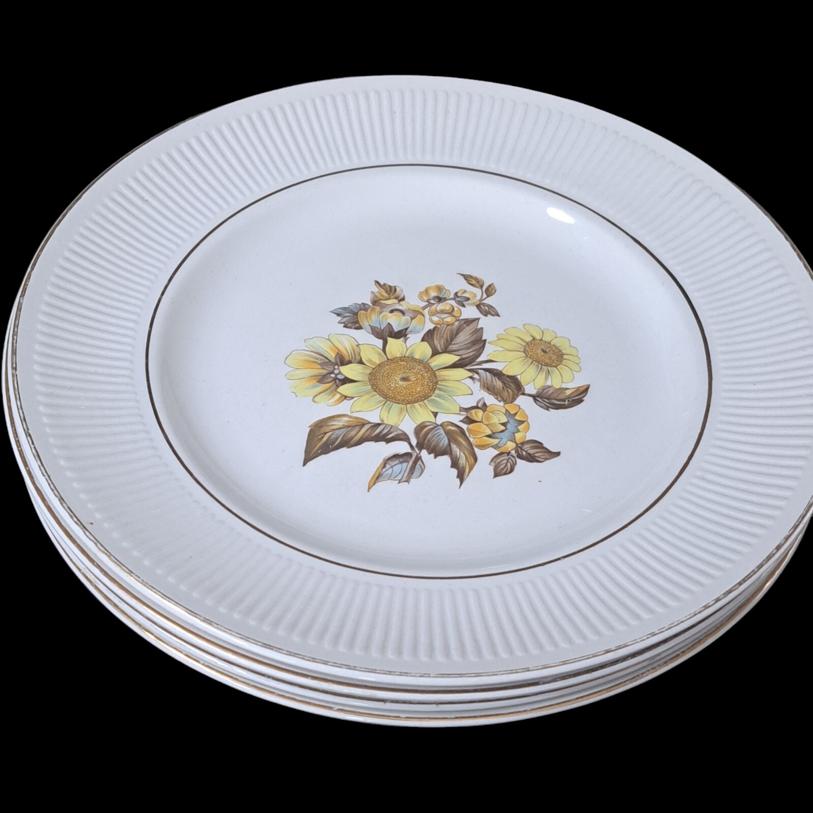 Vintage Sunflower Royal Warwick Dinner Plates 10