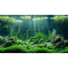 Aquarium Background Underwater Grass Leaves with Stone Aquarium Backdrop Vivi...