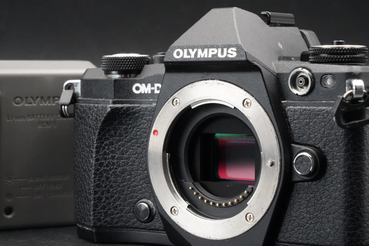 Olympus Olympus OM-D E-M5 Mark II Digital Cameras for Sale - Shop