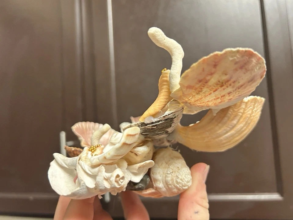 Soporte para joyas Seashell único en su tipo hecho a mano para anillos collares etc. Foto 4 de 4