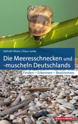 Vollrath Wiese Die Meeresschnecken und -muscheln Deutschlands
