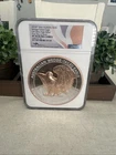 Perth Mint 1 Kilo 2025P Wedge-Tailed Eagle Rose Gold Gilded Coin | FDI | PF70 UC