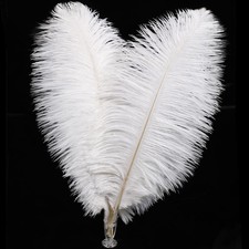 Soarer White Ostrich Feathers Bulk - 30pcs 8-10 inches for Wedding Party Cent...