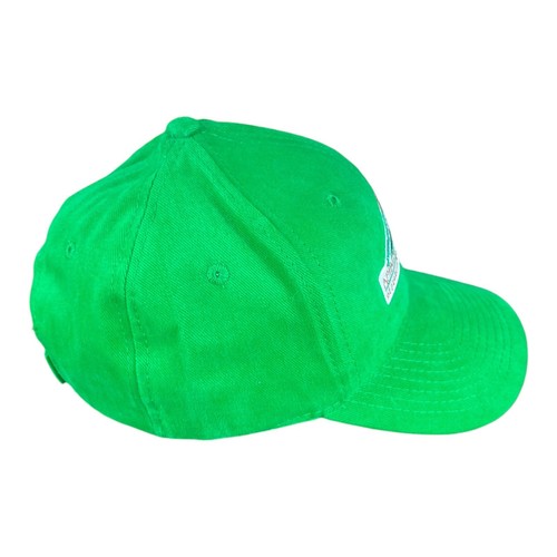 Appalachian League Collegiate Summer Baseball MILB Hat Strapback Cap Green - Picture 5 of 8