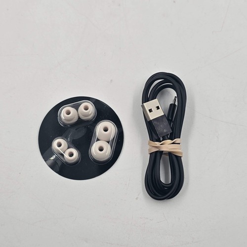 Auriculares internos inalámbricos Beats Powerbeats Pro Bluetooth blancos A2454 - Imagen 9 de 9