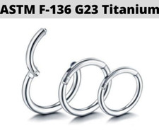 PAIR 14G G23 Titanium Hinged Hoop Septum Clicker Nose Ring Segment Orbital Conch