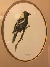 Water Colour Painting - Study of a Finch by Karin Vere 1985