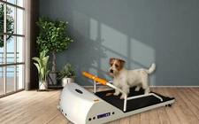 DOG EXERCISE TREADMILL PETRUN PR 700 SMALL DOG