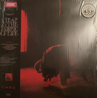 Knocked Loose  - A Tear In The Fabric Of Life EP Colored Vinyl SEALED NEW Record