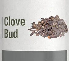 CLOVE BUD Herbal Liquid Extract Tincture Fresh Breath & Digestive Health Support