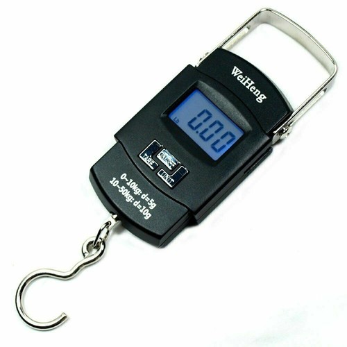 110lbs 5g-10g Dual Accuracy Portable 