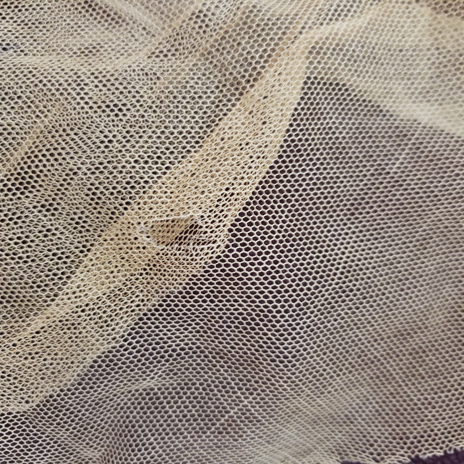 Vintage Antique Ecru Embroidered Lace Crafts Sewing 122 x 22 Inches