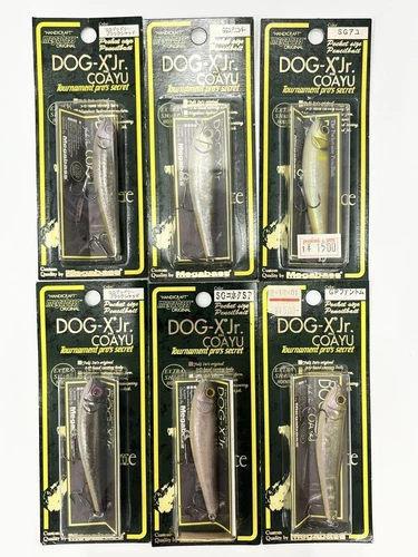 Megabass DOG-X jr.COAYU 6-piece set Fishing Lures JAPAN NEW Japan Import