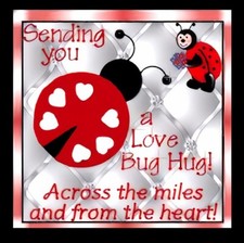 Sending You A Love Bug Hug Across The Miles From Heart  - MAGNET