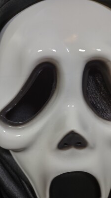 2012 Scream Ghost Face Plastic Mask Halloween Movie 