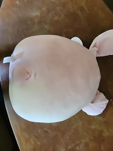NWT Easter Squishmallow BOP THE BUNNY carrot - "Don't worry, be hoppy" 14" As Is - 第 3/5 張圖片