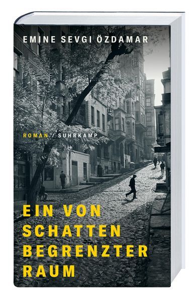 Thumbnail - Ein Von Schatten Begrenzter Raum