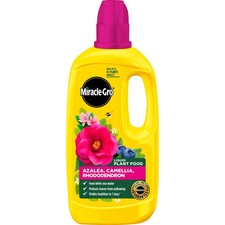 Miracle-Gro Azalea, Camellia & Rhododendron Plant Food Concentrate 800ml 9.48 per litre