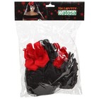 Foto 2 di 5