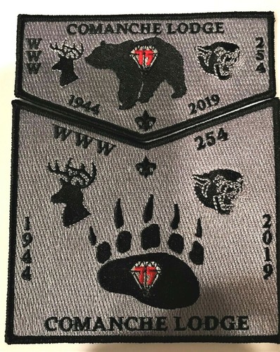 COMANCHE OA 254 BSA 2022 LA NOAC 2020 75TH 4-PATCH & 1ST NECKERCHIEF P1 62/100 - 第 5/7 張圖片