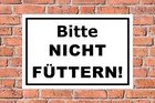 Bild 2 von 5