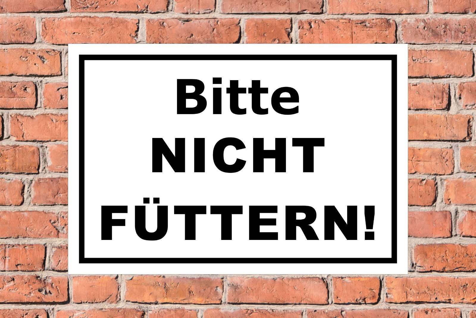 Bild 2 von 5